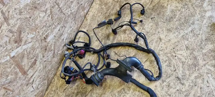 Audi A6 (2008 - 2011)  4F1971072NA Проводка двигателя