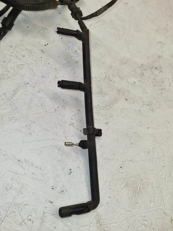 Seat Toledo III (5P) (2004 - 2009)  3C0906379 Проводка двигателя