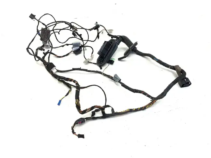 BMW X5 E70 (2006 - 2013) 6925548 Проводка передней двери — фото 6