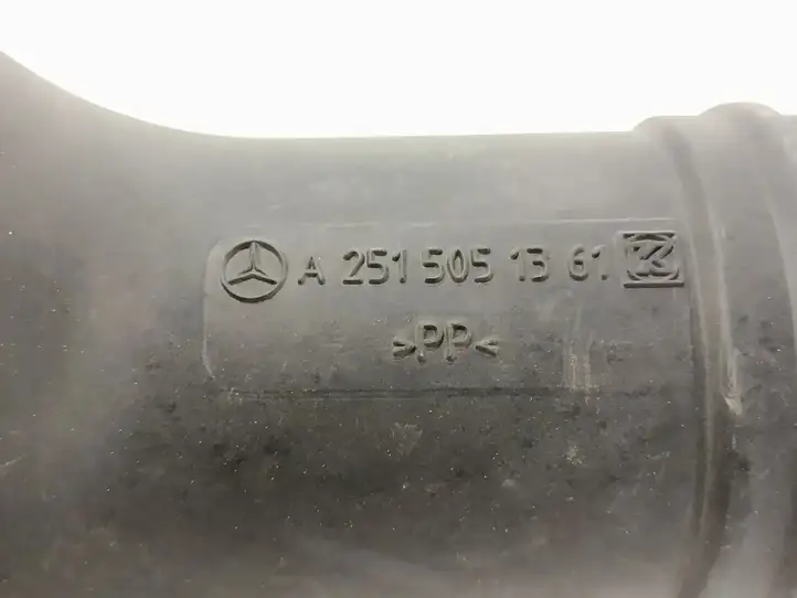 Mercedes-Benz R W251 (2005 - 2013) Детали воздухозаборника — фото 7