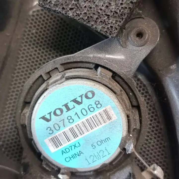 Volvo V70 (2007 - 2013) 30781068 Динамики передних дверей — фото 6