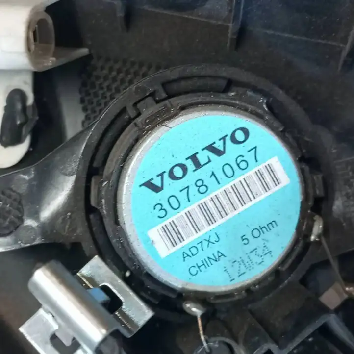 Volvo V70 (2007 - 2013) 30781067 Динамики передних дверей — фото 6