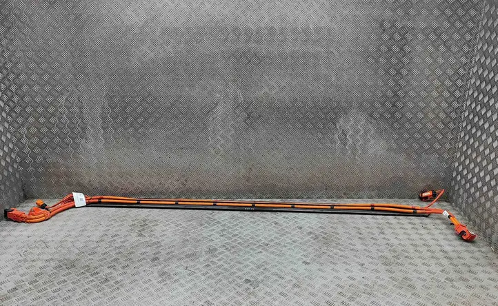 Tesla Model Y (2019 - 2024) 110900300F Прочая электропроводка — фото 1