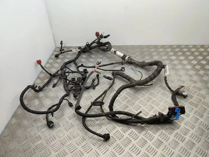 Ford Focus (2015 - 2019) F1FT14A280CBH Проводка двигателя — фото 1