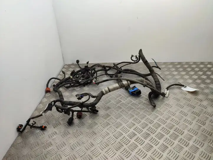 Ford Focus (2015 - 2019) F1FT14A280CBH Проводка двигателя — фото 15