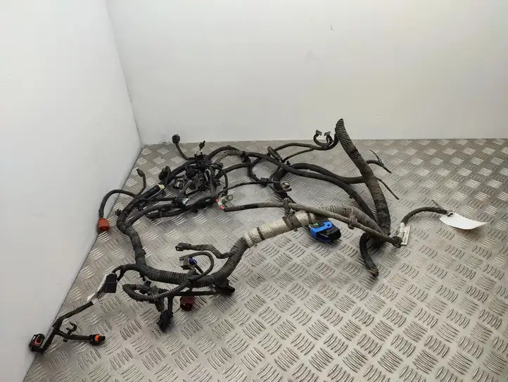 Ford Focus (2015 - 2019) F1FT14A280CBH Проводка двигателя — фото 17