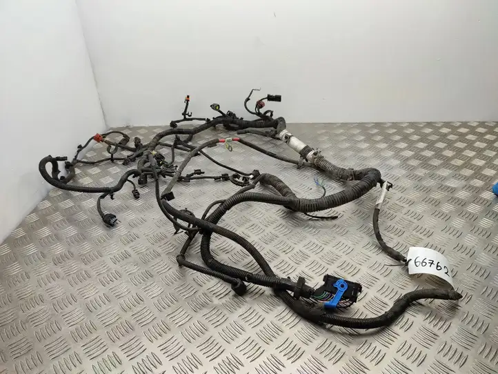 Ford Focus (2015 - 2019) F1FT14A280CBH Проводка двигателя — фото 20