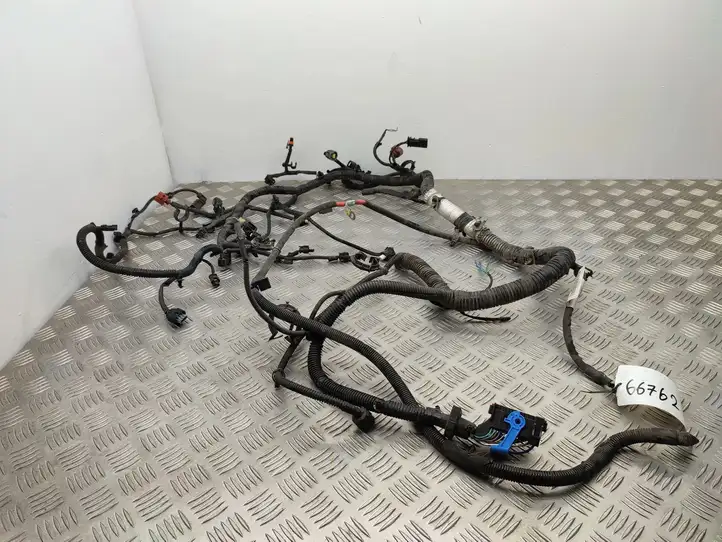 Ford Focus (2015 - 2019) F1FT14A280CBH Проводка двигателя — фото 21