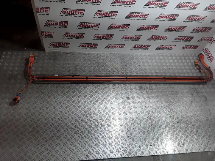 Tesla Model 3 (2017 - 2023)  110900300D Другой проводник