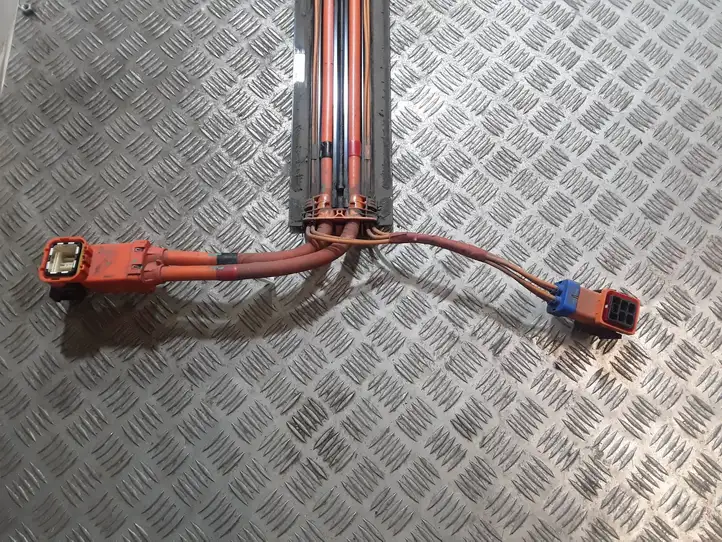 Tesla Model 3 (2017 - 2023)  110900300D Другой проводник