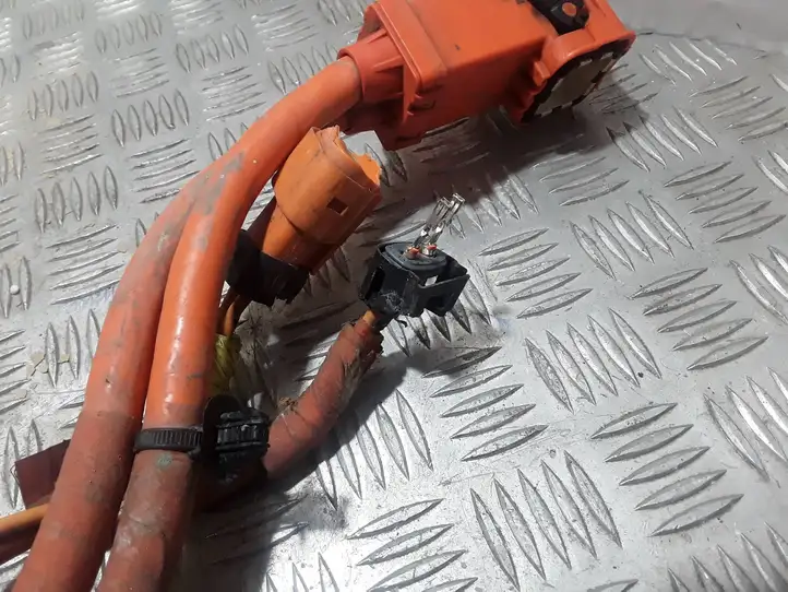 Tesla Model 3 (2017 - 2023)  110900300D Другой проводник