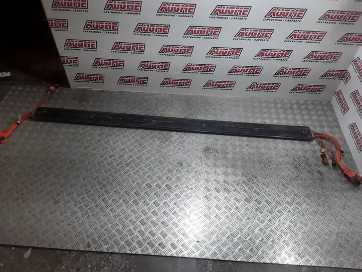 Tesla Model 3 (2017 - 2023)  110900300D Другой проводник