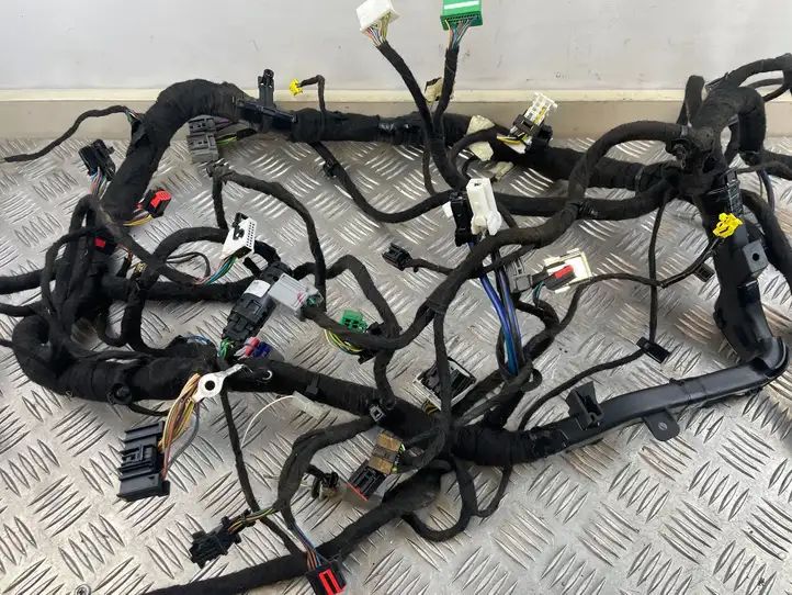 Ford Ecosport (2013 - 2018) A12734162 Прочая электропроводка — фото 2