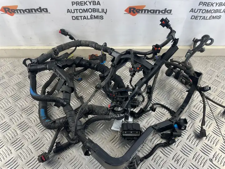 Ford Ecosport (2013 - 2018) Прочая электропроводка — фото 3