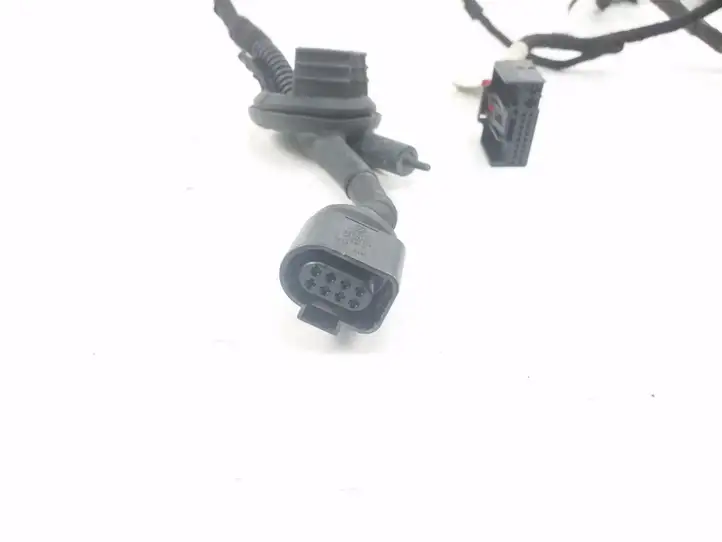 Audi A6 S6 C6 4F (2004 - 2008) 4F1971687N Проводка задней двери — фото 6