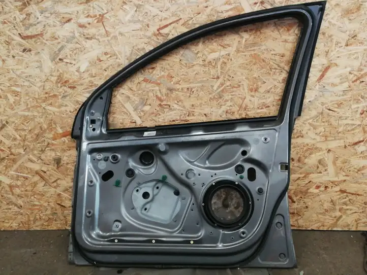 Volkswagen Golf V (2003 - 2009) Дверь — фото 2
