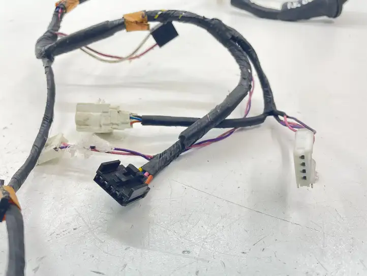 Toyota RAV 4 (XA30) (2006 - 2016)  8215242800 Проводка передних дверей