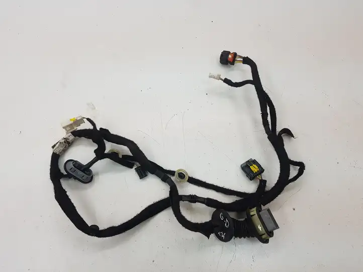 Citroen C4 Picasso (2013 - 2016)  9810230880 Проводка задних дверей