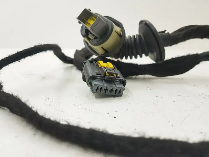 Citroen C4 Picasso (2013 - 2016)  9810230880 Проводка задних дверей