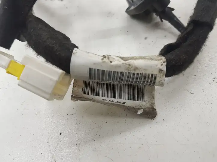 Citroen C4 Picasso (2013 - 2016)  9810230880 Проводка задних дверей