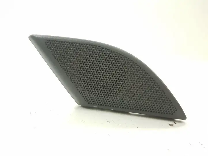 Opel Antara (2006 - 2011) Твитер передней двери — фото 1