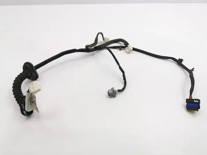 Nissan Qashqai (2006 - 2010) 24126JD00B Проводка задней двери — фото 1