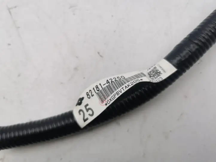 Toyota RAV 4 (XA50) (2018 - ) 8218142250 Прочая электропроводка — фото 4