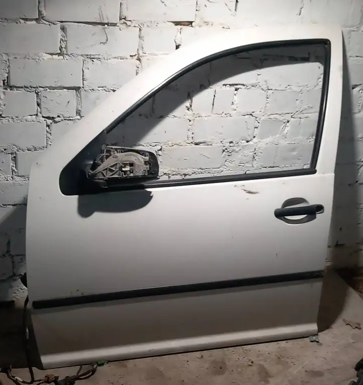 Volkswagen Golf IV (1998 - 2005) Дверь — фото 1