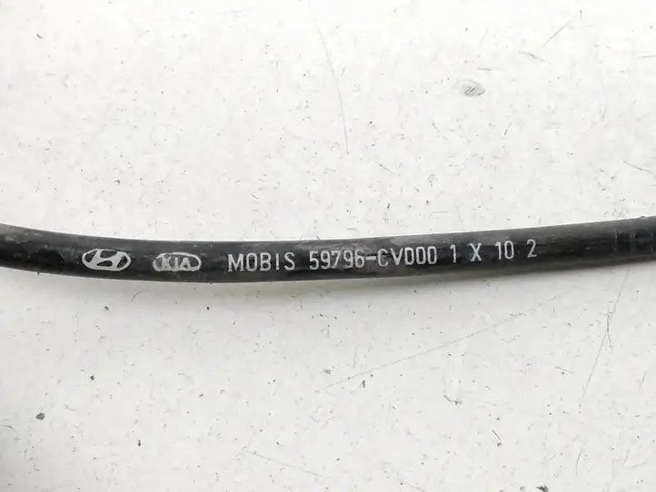 Kia EV6 (2021 - ) 59796CV000 Проводка заднего датчика ABS — фото 2