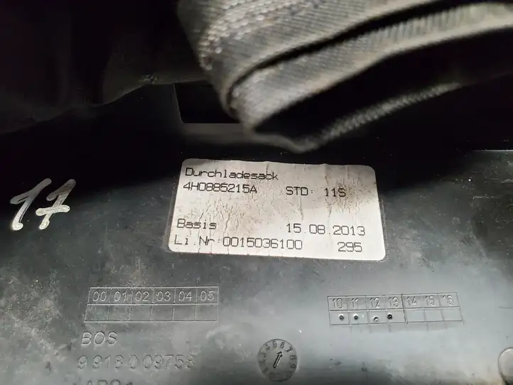 Audi A8 S8 D4 4H (2010 - 2014) 4H0885215A Лыжная сумка — фото 4