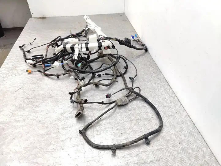 Tesla Model 3 (2017 - 2023) 206795404B Левый жгут проводов салона — фото 3