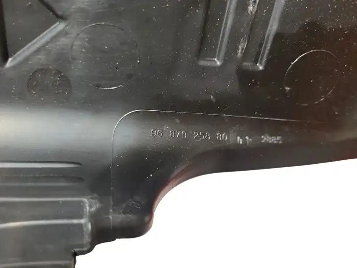 Citroen C5 (2008 - 2017) 9687925880 Крышка ящика предохранителей — фото 5