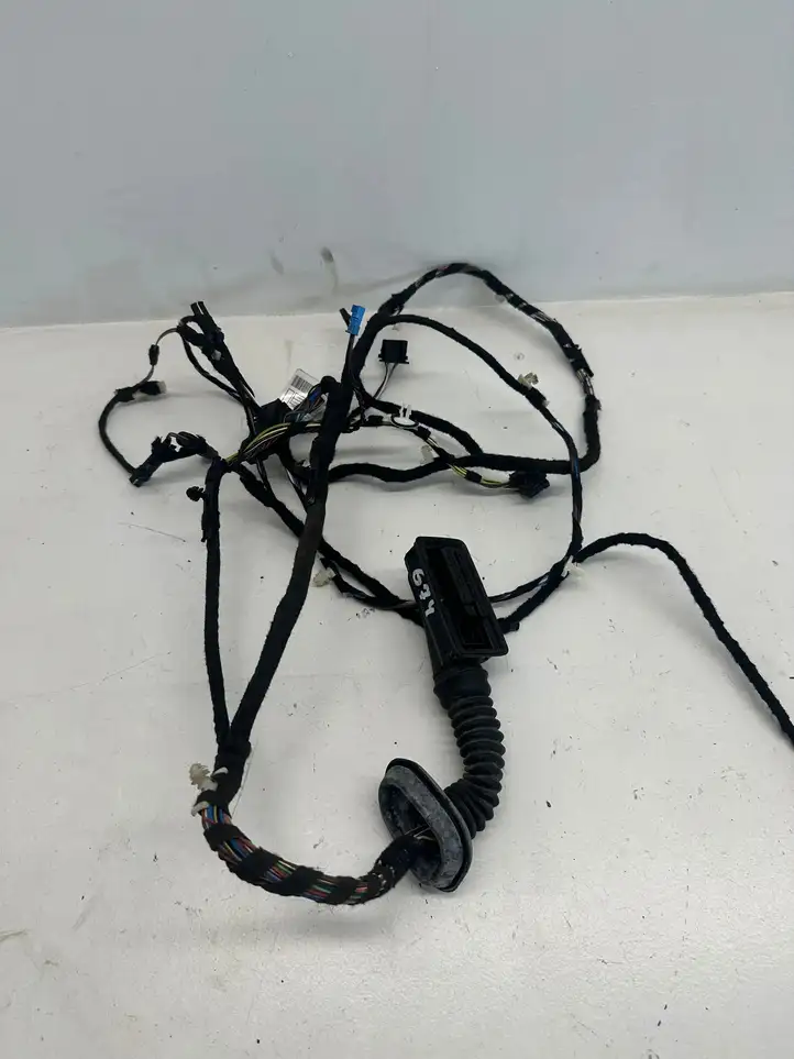 BMW 3 F30 F35 F31 (2012 - 2018) 9286222 Проводка передней двери — фото 2