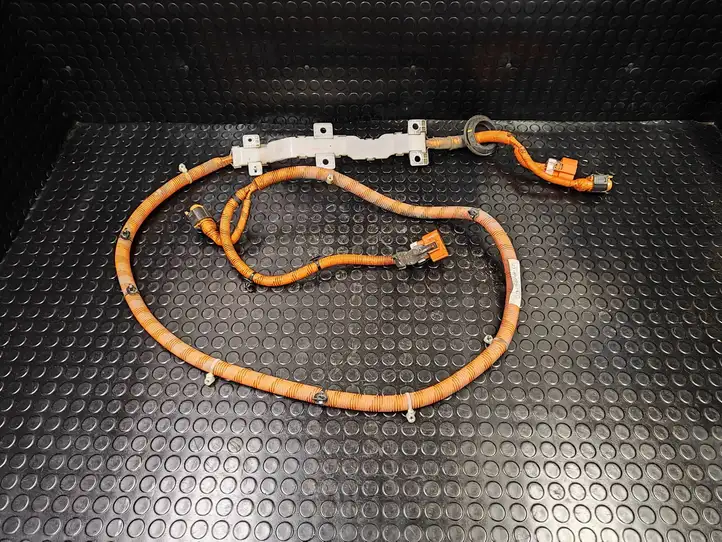 Nissan Leaf I (ZE0) (2010 - 2017) Прочая электропроводка — фото 1