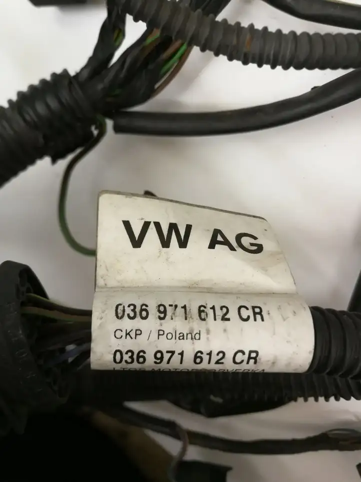 Seat Ibiza IV (6J,6P) (2008 - 2017) 036971612CR Проводка двигателя — фото 10