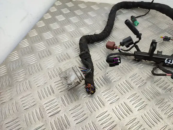 Seat Leon (5F) (2012 - 2019) 04L971824 Проводка двигателя — фото 17