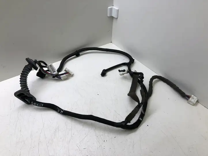 Nissan Qashqai (2013 - 2017)  241254EA1C Проводка передних дверей