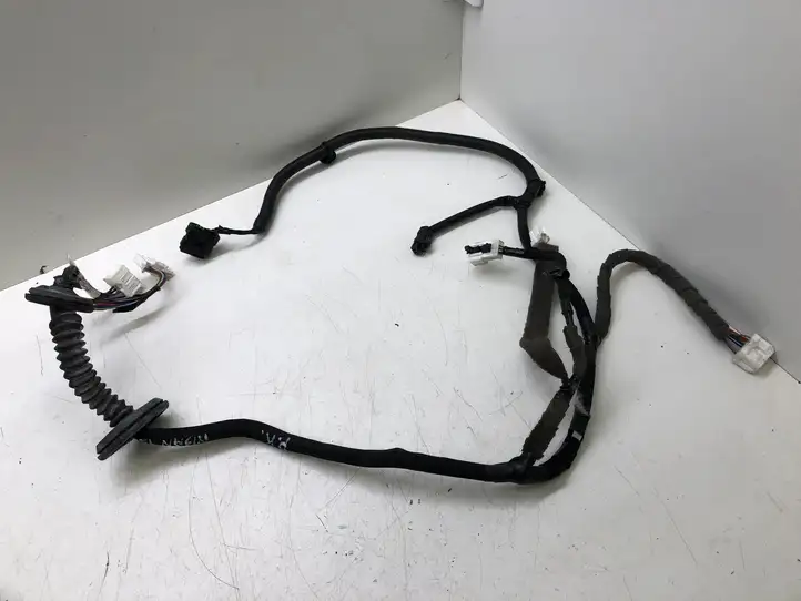 Nissan Qashqai (2013 - 2017)  241254EA1C Проводка передних дверей