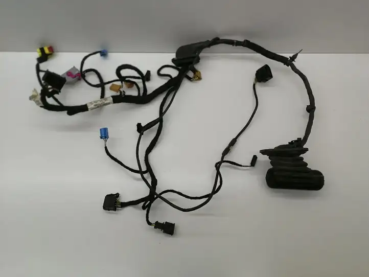 Volkswagen Eos (2006 - 2010) 1Q0971120BH Проводка передней двери — фото 1