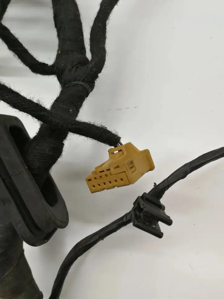 Volkswagen Eos (2006 - 2010) 1Q0971120BH Проводка передней двери — фото 12