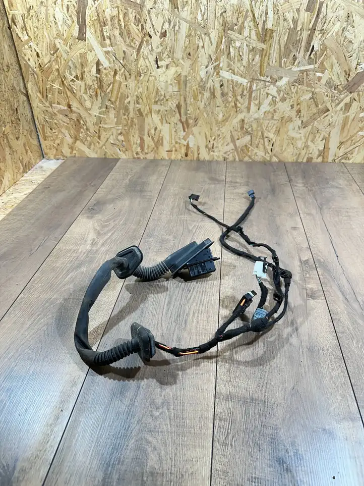 BMW 7 E65 E66 (2001 - 2008) 6934038 Проводка задней двери — фото 1