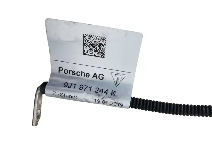 Porsche Taycan 9J1 (2019 - ) 9J1971244K Прочая электропроводка — фото 4