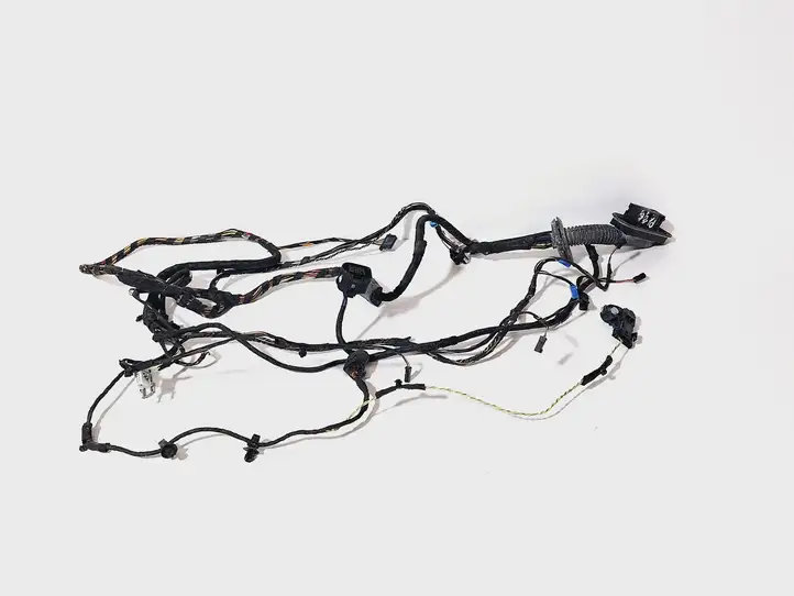 BMW 7 F01 (2008 - 2016) 61139169241 Проводка передней двери — фото 1