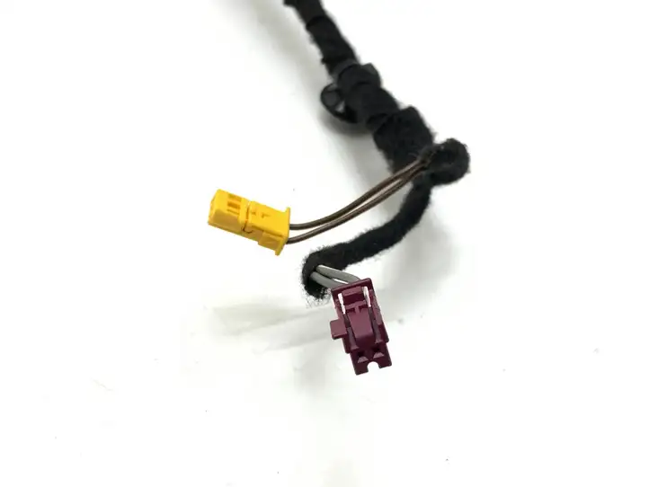 Mercedes-Benz E A207 (2010 - 2017)  A2075405405 Проводка передних дверей