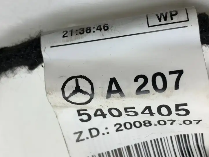 Mercedes-Benz E A207 (2010 - 2017)  A2075405405 Проводка передних дверей