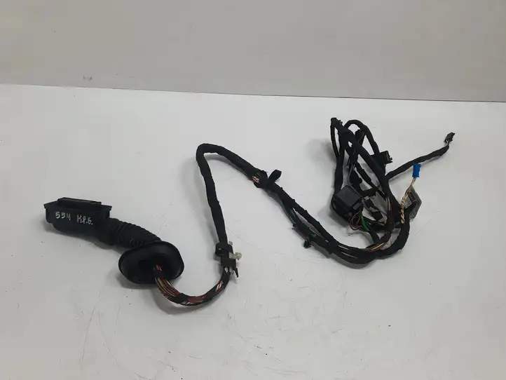 BMW 3 F30 F35 F31 (2012 - 2018) 9366761 Проводка задней двери — фото 1