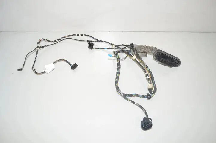 BMW X3 F25 (2010 - 2017) 9252377 Проводка передней двери — фото 4