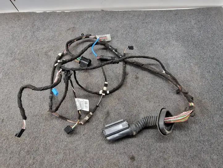 BMW 3 F30 F35 F31 (2012 - 2018) 9366761 Проводка задней двери — фото 1