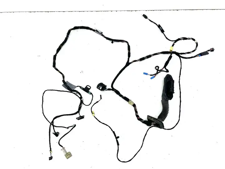 BMW X5 E70 (2006 - 2013)  9116976 Проводка передних дверей