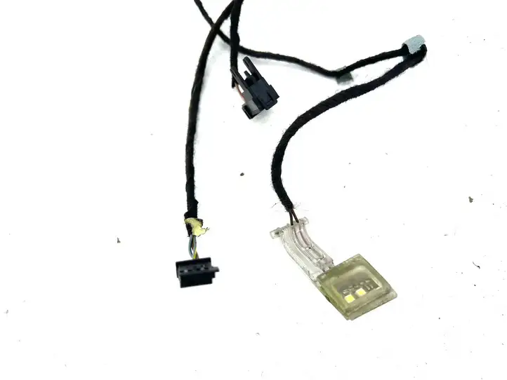 BMW X5 E70 (2006 - 2013)  9116976 Проводка передних дверей